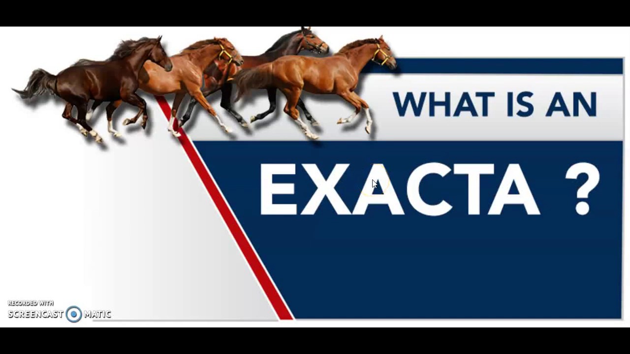 HORSE RACING FOR NEWBIES What is an EXACTA? (3 min video) YouTube