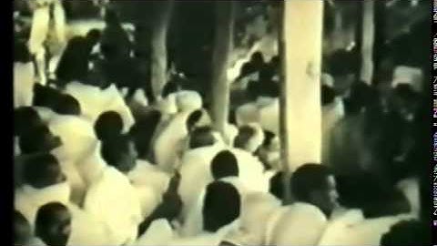 Eritrean, documentary of 1970 and 1980