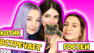 КОТЕНОК БАТТЕРС ЗНАКОМИТСЯ С НОВЫМИ ЛЮДЬМИ | ИГРАЕТ В НОВЫЕ ИГРУШКИ | ПОСЕЩАЕМ ВЕТЕРИНАРНУЮ КЛИНИКУ КОТЕНОК БАТТЕРС ЗНАКОМИТСЯ С НОВЫМИ ЛЮДЬМИ | ИГРАЕТ В НОВЫЕ ИГРУШКИ | ПОСЕЩАЕМ ВЕТЕРИНАРНУЮ КЛИНИКУ