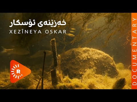 BelgeFilm Xezîneya Oskar بەڵگەفیلم خەزێنەی ئۆسکار