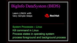 (Module 18) Linux System process ll User Related Process ll Kill Process ll FG and BG Process