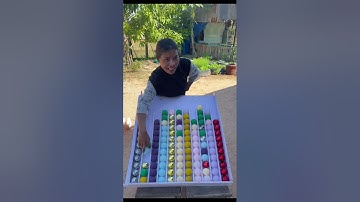 Color Ball Sort Puzzle Game Let