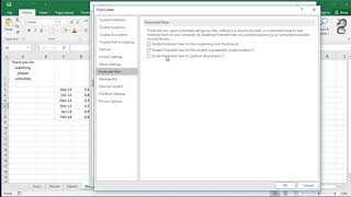 How to Turn On Protected View in Excel