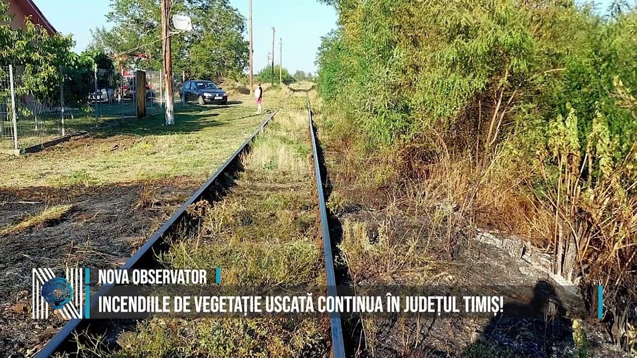 Incendiile de vegetație uscată fac prăpăd în Timiș Incendiile de vegetație uscată fac prăpăd în Timiș