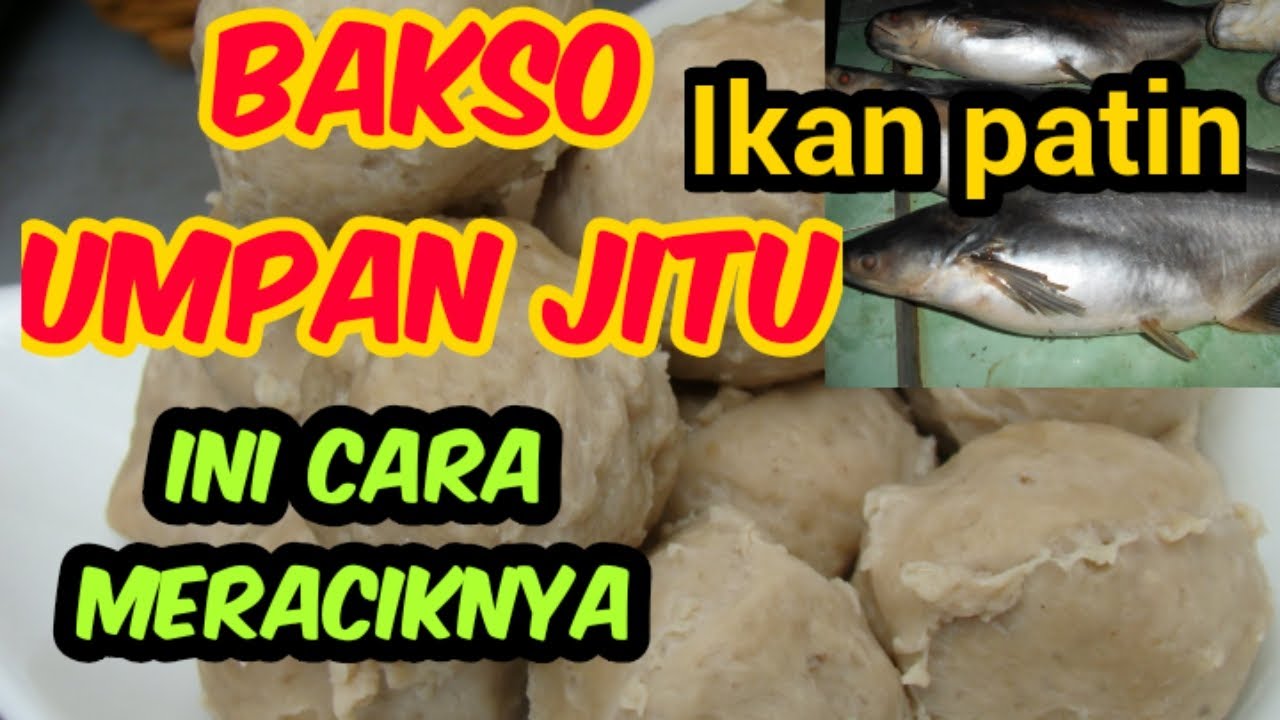 "BAKSO"Umpan jitu ikan patin harian 
