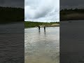 Proboat sonicwake