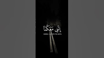 تلاوة هادئة تريح القلب-قال لا تخافا #قرآن #قران_كريم #Quran #راحة_نفسية
