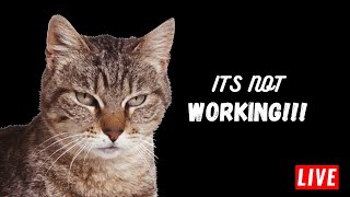 🔴Live Coding ♾️ Golang Typescript Python series #coding #projects