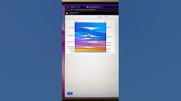 Turn your excel sheets into visuals #productivity #graphic #visual