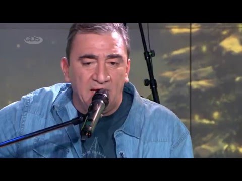 პეჩო და ჭია | Christmas is all around