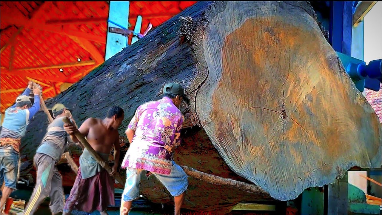 Incredible Teak Wood Cutting Skill || india teak wood - YouTube