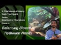 Balancing Chameleon &amp; Bioactive Substrate Hydration