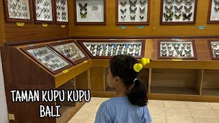 TAMAN KUPU-KUPU BALI || Taman dan Museum  kupu-kupu di desa Wanasari Tabanan Bali