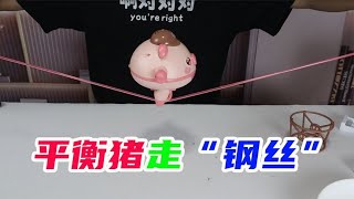 开箱网红平衡猪据说能走钢丝是真的吗未闻实验室开箱 测评 挑战 网红平衡猪