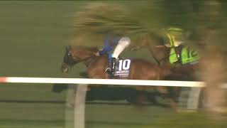 2021 DEL MAR Breeders' Cup Turf