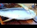 GIANT FRESH TUNA CUTTING | SUPER QULITI | මහ කෙලවල්ලා