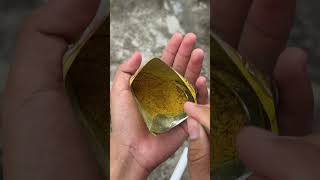 N Vt Tui Th 3 Uppoi Une21eni  shorts