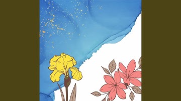 Sublime Backdrops for Warm Moments