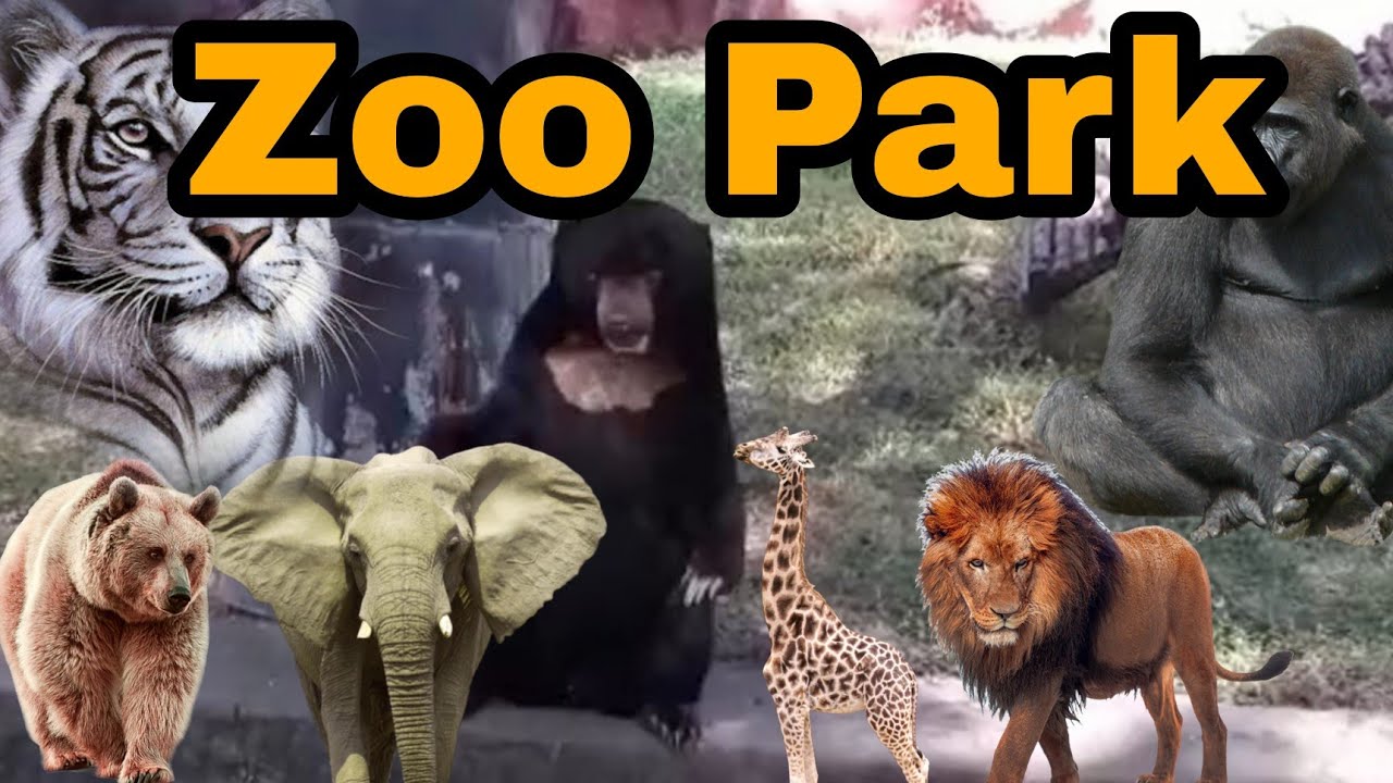 nehru-zoological-park-hyderabad-zoo-park-varshitha-yalamasetti