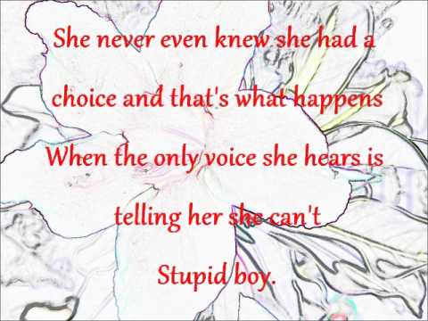 "Stupid Boy" Cassadee Pope (Full song & Lyrics)