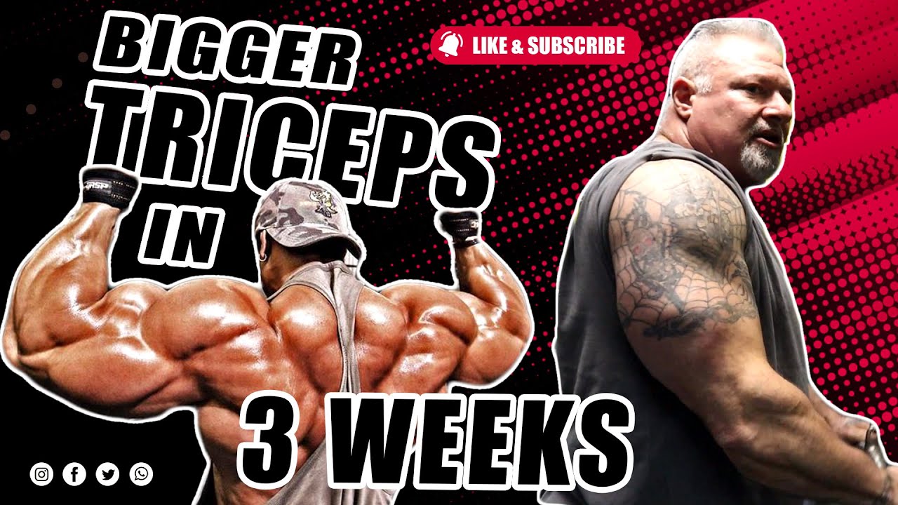 3 недели до больших трицепсов: как добиться скрученной накачки, которой вам не хватало.