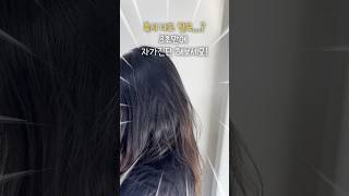 혹시 나도 탈모..? 3초 자가진단 방법! #비긴어데이 #아보카도단백질샴푸  #탈모샴푸 #탈모샴푸추천 #약산성샴푸 #뷰티 #kbeauty #shampoo #hair