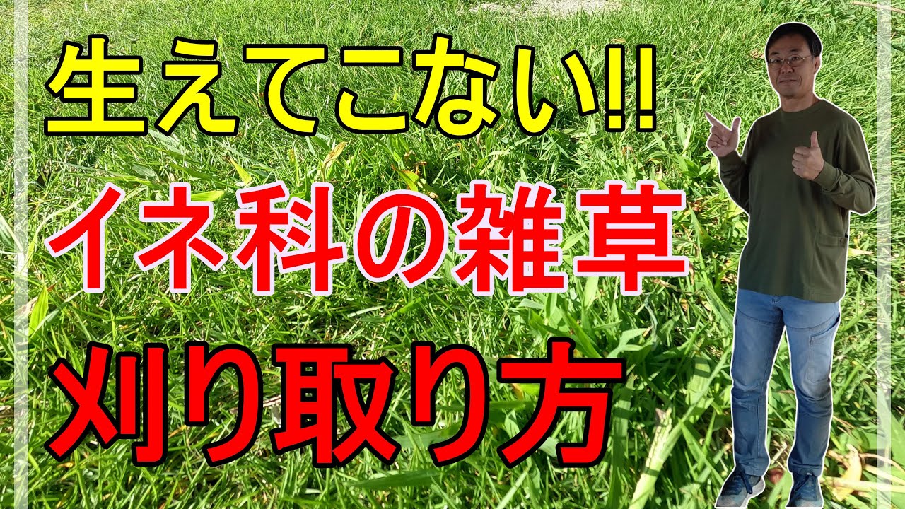 畑の雑草除去方法 _ 植木の周りの雑草だけ除去したい : 米作りで生えてくる雑草の対策方法を教えてほしい – UVXNYD
