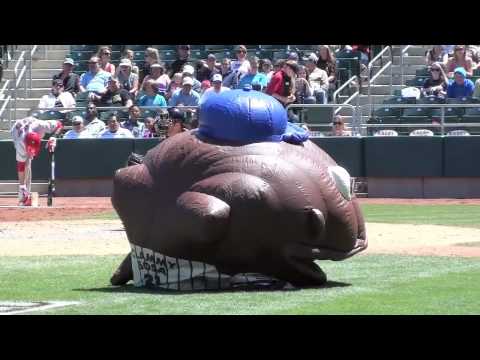 World famous ZOOperstars perform at Raley Field.