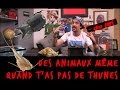 DES ANIMAUX MÊME QUAND T'AS PAS DE THUNES !!