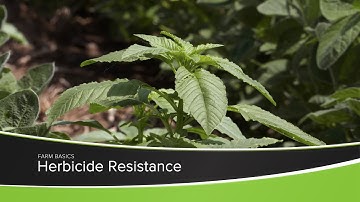 Herbicide Resistance