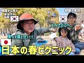 日本で初めて見る本物の桜!! 花見に行った韓国人お父さんの反応が理解できすぎる