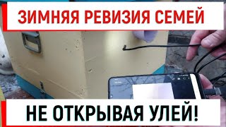 Определение Количества Кормов Не Открывая Улей!