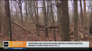 Partial human remains found near Blue Hills Reservation in Milton