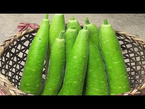 Video Nếu biết công dụng này 100% bà nội trợ sẽ chọn quả bầu... - youtube
