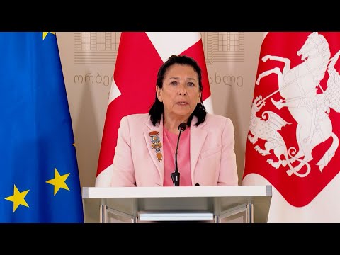 ეს კანონი უნდა გაუქმდეს - პრეზიდენტმა რუსულ კანონს ვეტო დაადო