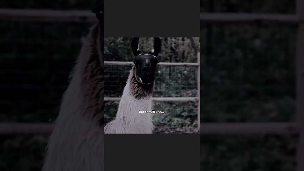 Spot-On Farm Crime Kati Evertz-Garcia Animal Abuse Cruelty Rotting Backyard Breeder MN Exposed