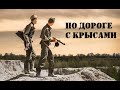 За кулисами войны