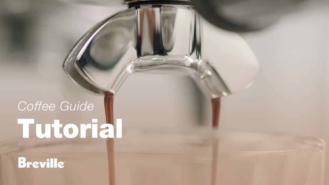 cleaning cycle | the Barista Touch 