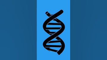 New 3DNA Site and Reel coming soon! 🧬 #medicalanimation #3dnamedical #science