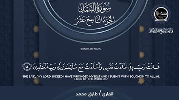 تلاوة خاشعة لسورة النمل بصوت القارئ طارق محمد