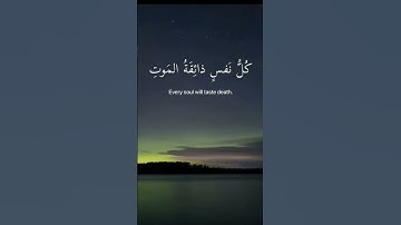 سورة العنكبوت من اية 56 الى 57 ❤#quran #islam#qurantilawat