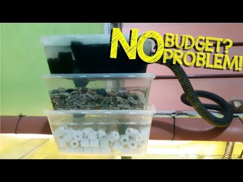 Diy Trickle Filter Mini Overhead Aquarium Sump You - How To Diy Fish Tank Filter