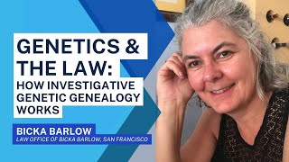 Genetics and the Law: How Investigative Genetic Genealogy Works