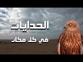 مملكة الحدايات المصرية وسط الصحراء وبحيرة مخفية 