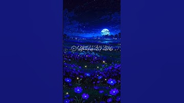 سورة الإنسان #القرآن_الكريم #راحة_نفسية #المصحف