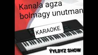 Sahydursun H Bu Gownim Minus (Karaoke)