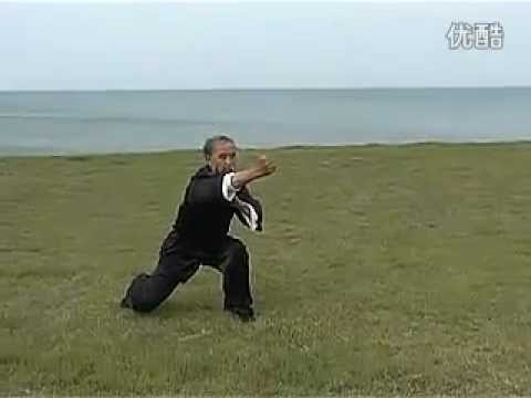 七星螳螂拳_崩步 / Qi Xing Tanglang Quan _ Beng Bu