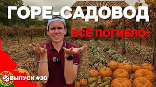 видео: Урожая больше нет!😱 Оставил огород в Португалии без присмотра на месяц | Дом в Португалии. Выпуск 30 картинка: Урожая больше нет!😱 Оставил огород в Португалии без присмотра на месяц | Дом в Португалии. Выпуск 30