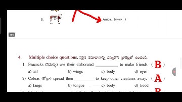 3rd EVS UNIT-9 "TOGETHER WITH EVERYONE" Workbook Answers Semister-2 | 3rd EVS WORKBOOK ANSWER 2024