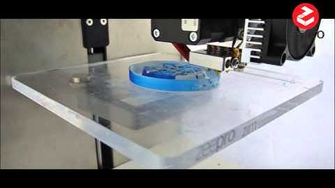 2 colors model, The ladybug, 3D printing